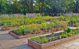 The plant beds are made of pine wood as is the wooden decking of the roof terrace. © Ecovegetal Vegetable and herb plots on a rooftop with wooden decking